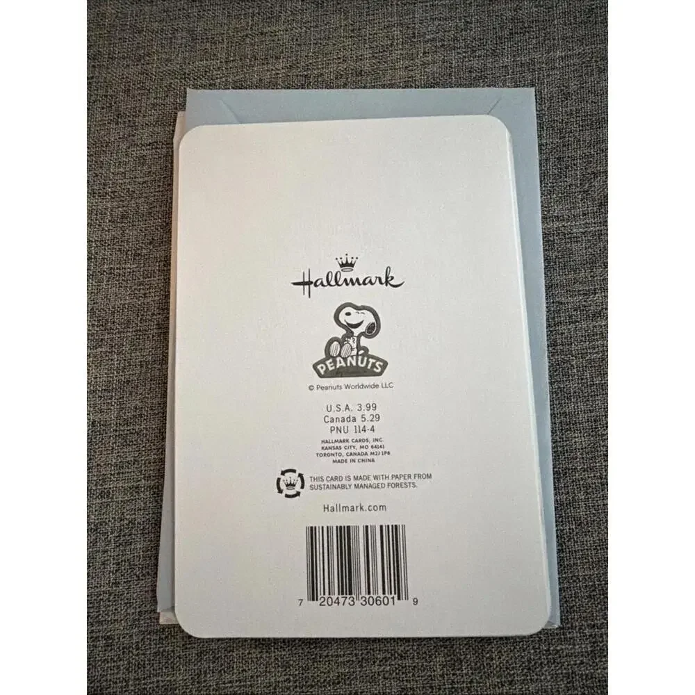 Hallmark Peanuts Anniversary Greeting Card Snoopy Woodstock Next To You Is My